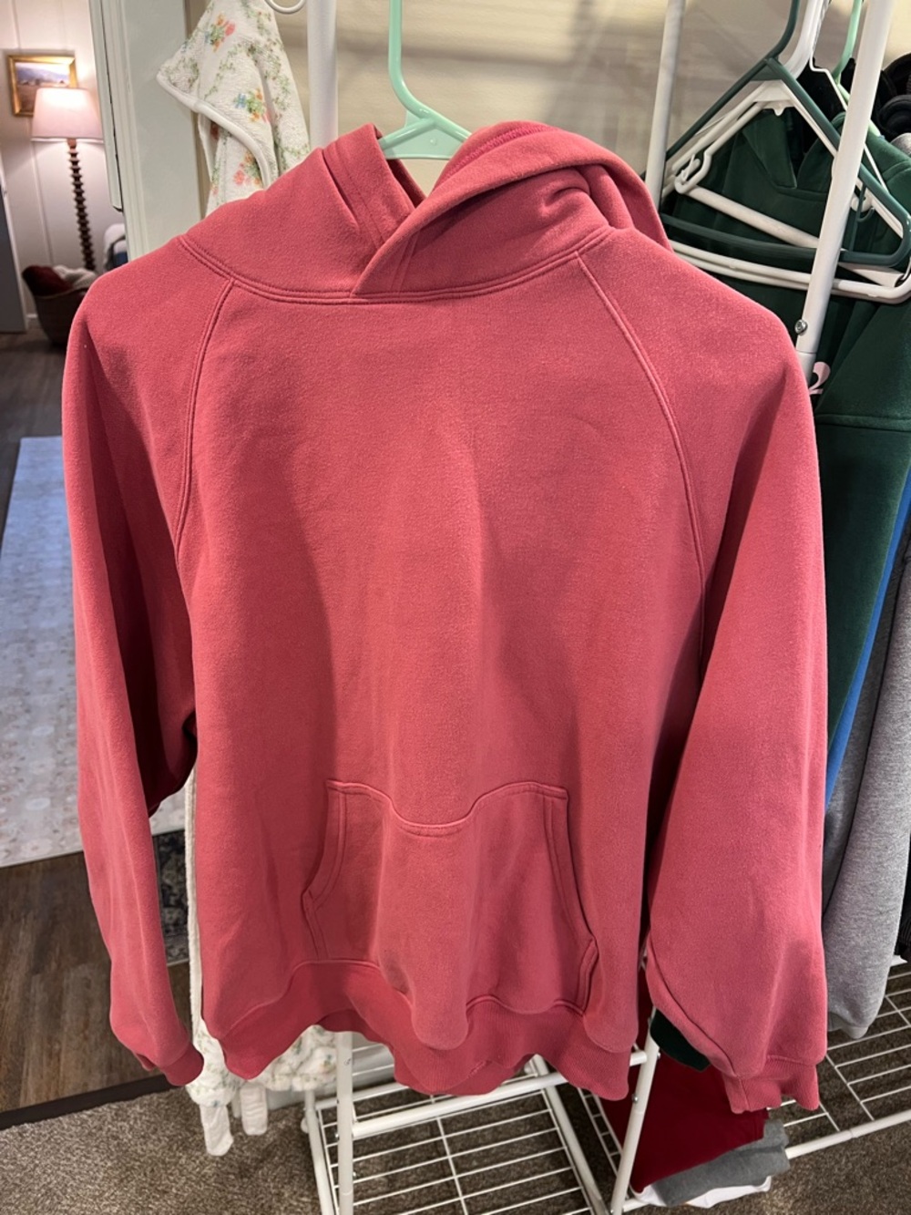 Aritzia Women's Hooded Pullover Sweater in Rose